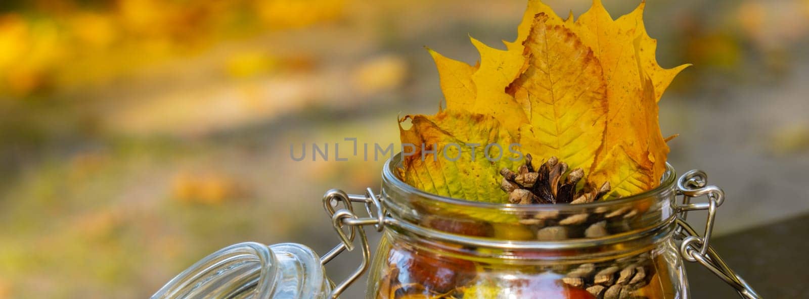 Glass jar with autumn leaves in a forest glade. Colorful autumn set of bright yellow red green orange leaves, big pine cones, brown chestnuts and glass jar. Seasonal decoration, warm natural color combination. Hygge aesthetic fall atmosphere