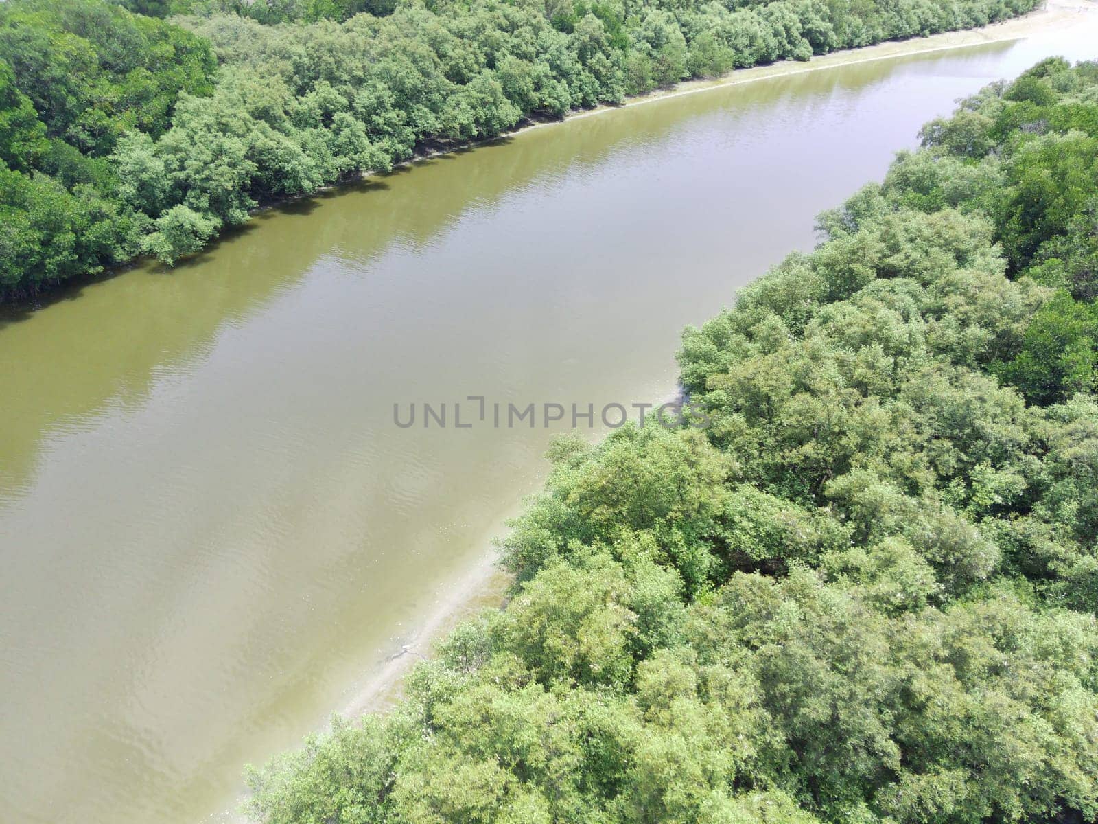 Aerial shot on The mangrove beach in Romokalisari, Surabaya, East Java, Indonesia