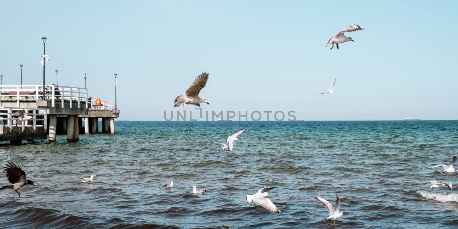 The Sopot molo pier longest in Europe. Baltic Sea and the sun. Seagulls flying on the beach of Baltic Sea waves searching food. Gdansk travel destination. Holiday vacation