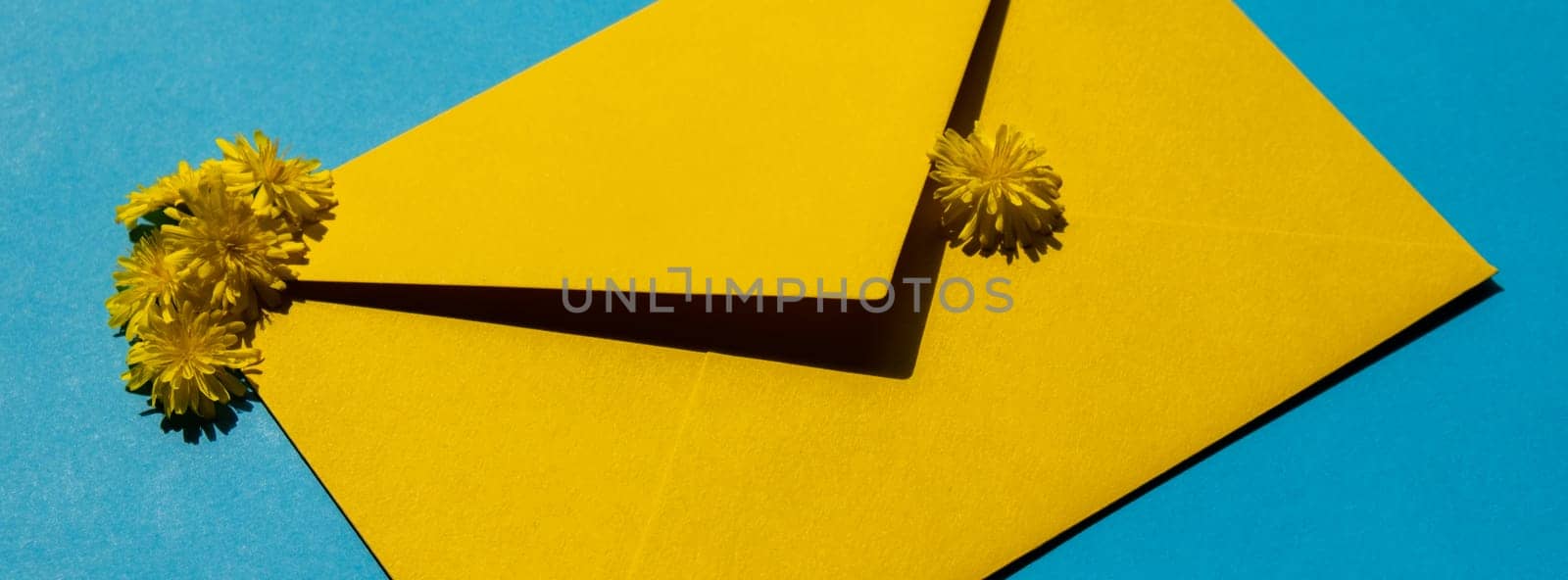 Beautiful little yellow chamomile daisies flowers on postal yellow envelope on blue background, empty paper note copy space for text, spring time, greeting card for holiday. Flower delivery by anna_stasiia