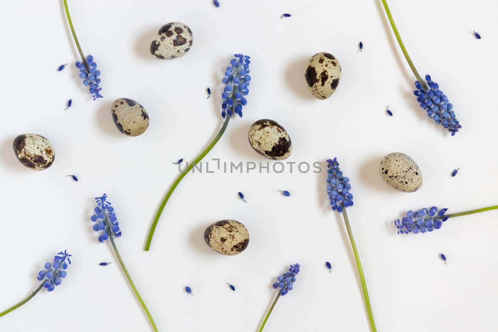 Easter eggs and blue flowers pattern. White background. Happy easter concept, flat lay, copy space