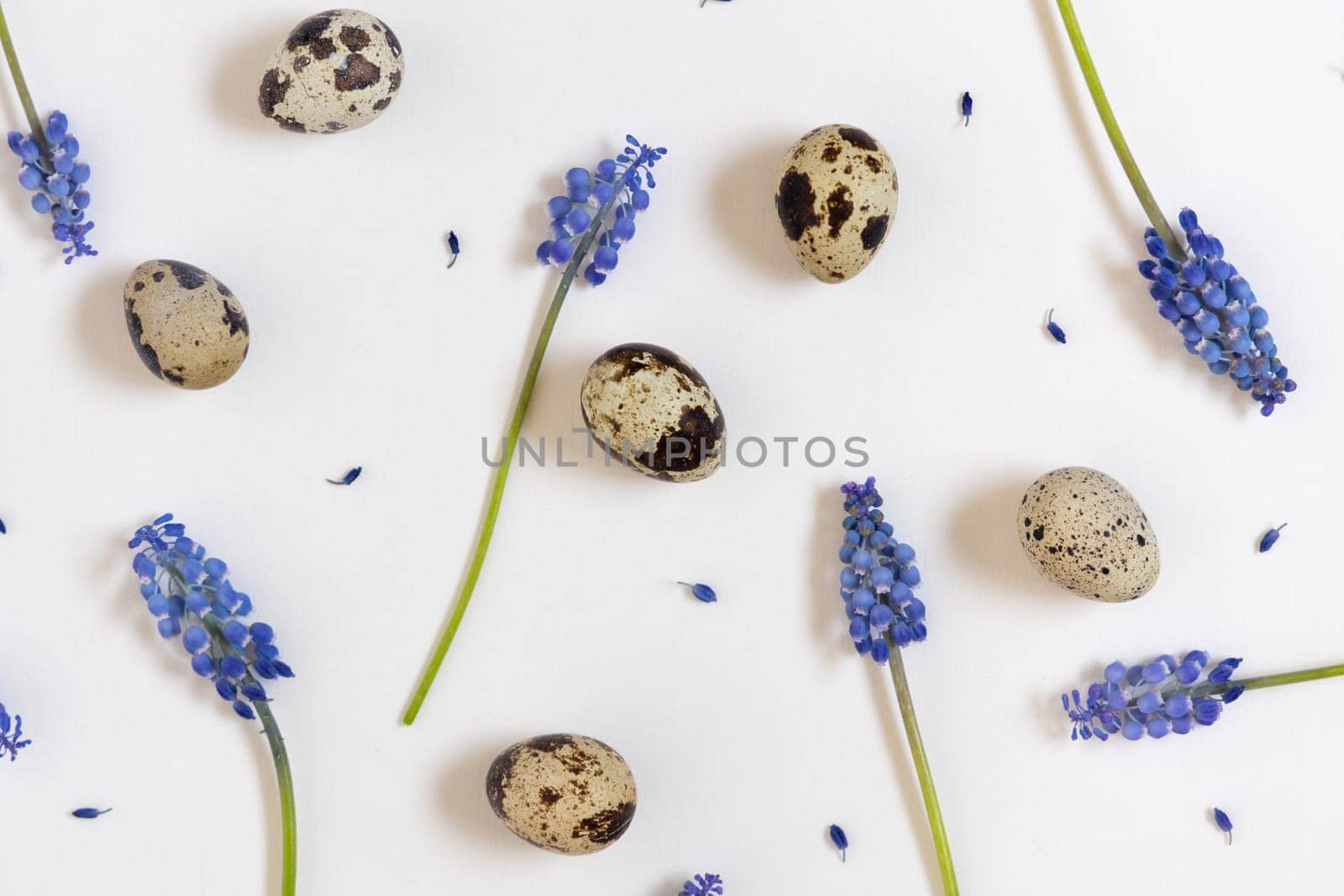 Easter eggs and flowers pattern. White background. Happy easter concept, flat lay, copy space. by Ri6ka