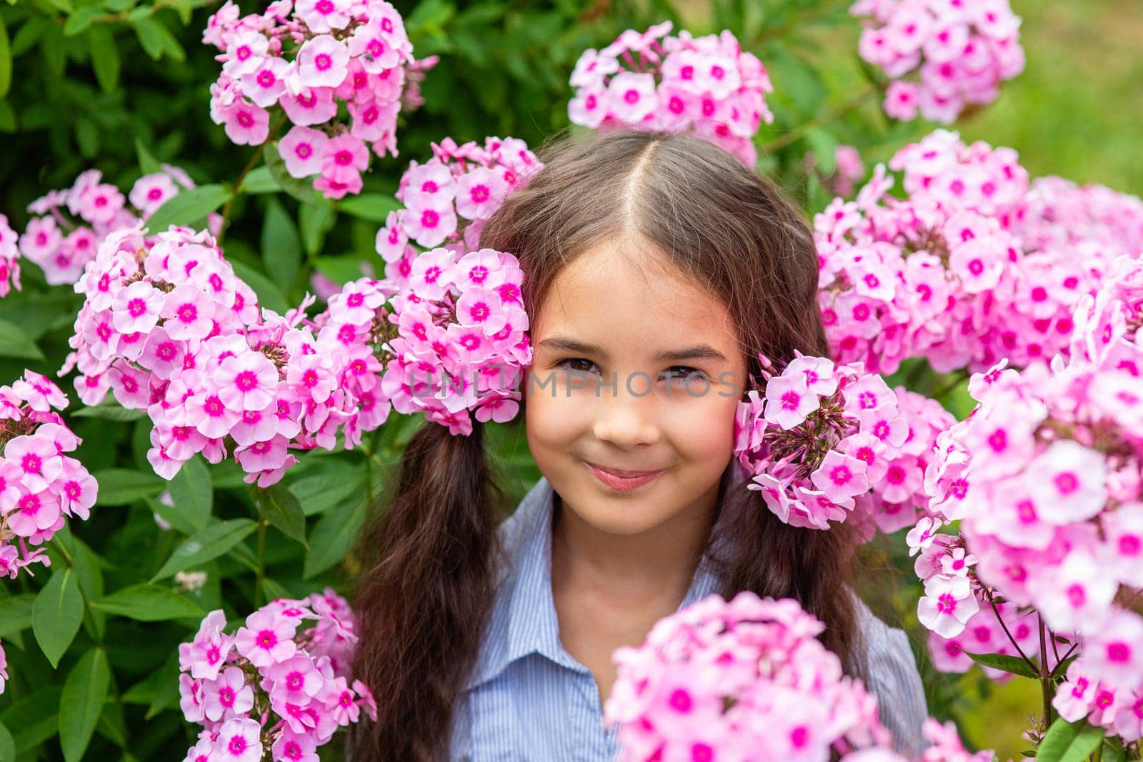 Portrait of a cute little girl in lush pink phlox flowers, summer. Close up