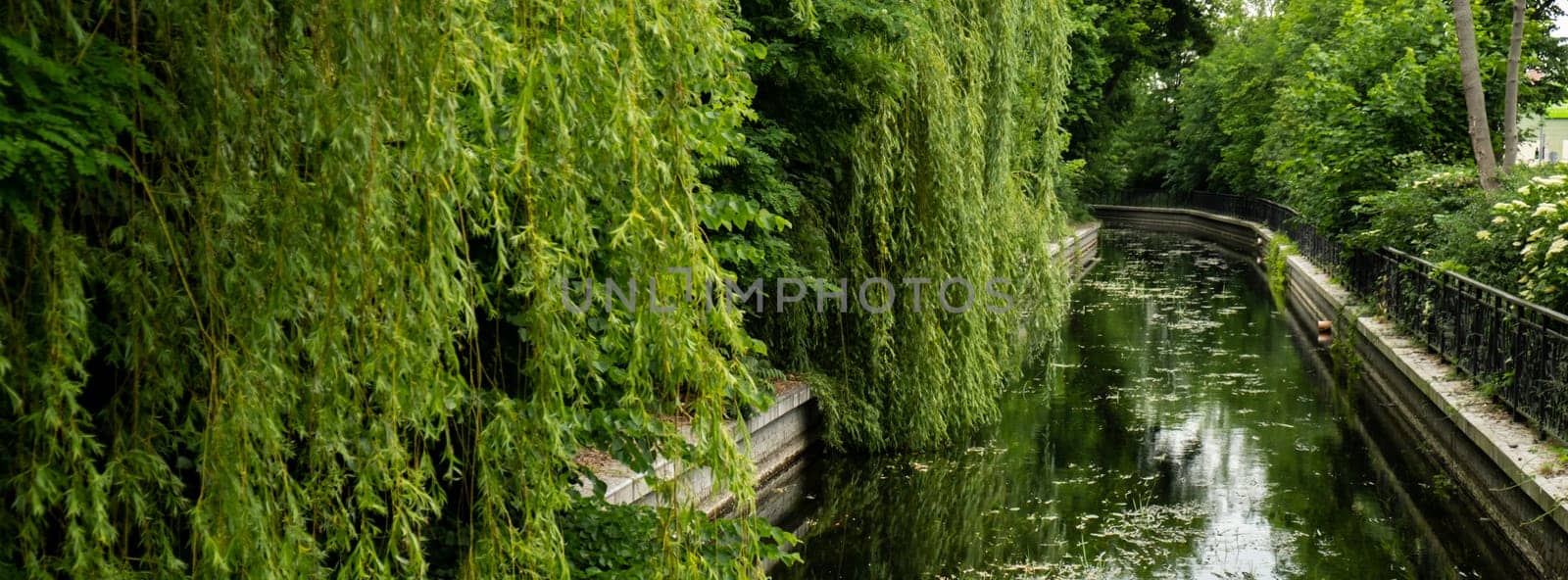 Beautiful spring river and forest. Nature Reflection of trees in the water. Abstract natural background. Blurry silhouettes of many green trees, leaves reflect on peaceful surface of river, lake puddle water pond Wallpaper Selective focus Reconnecting with nature, Mental healing health. Mindful living