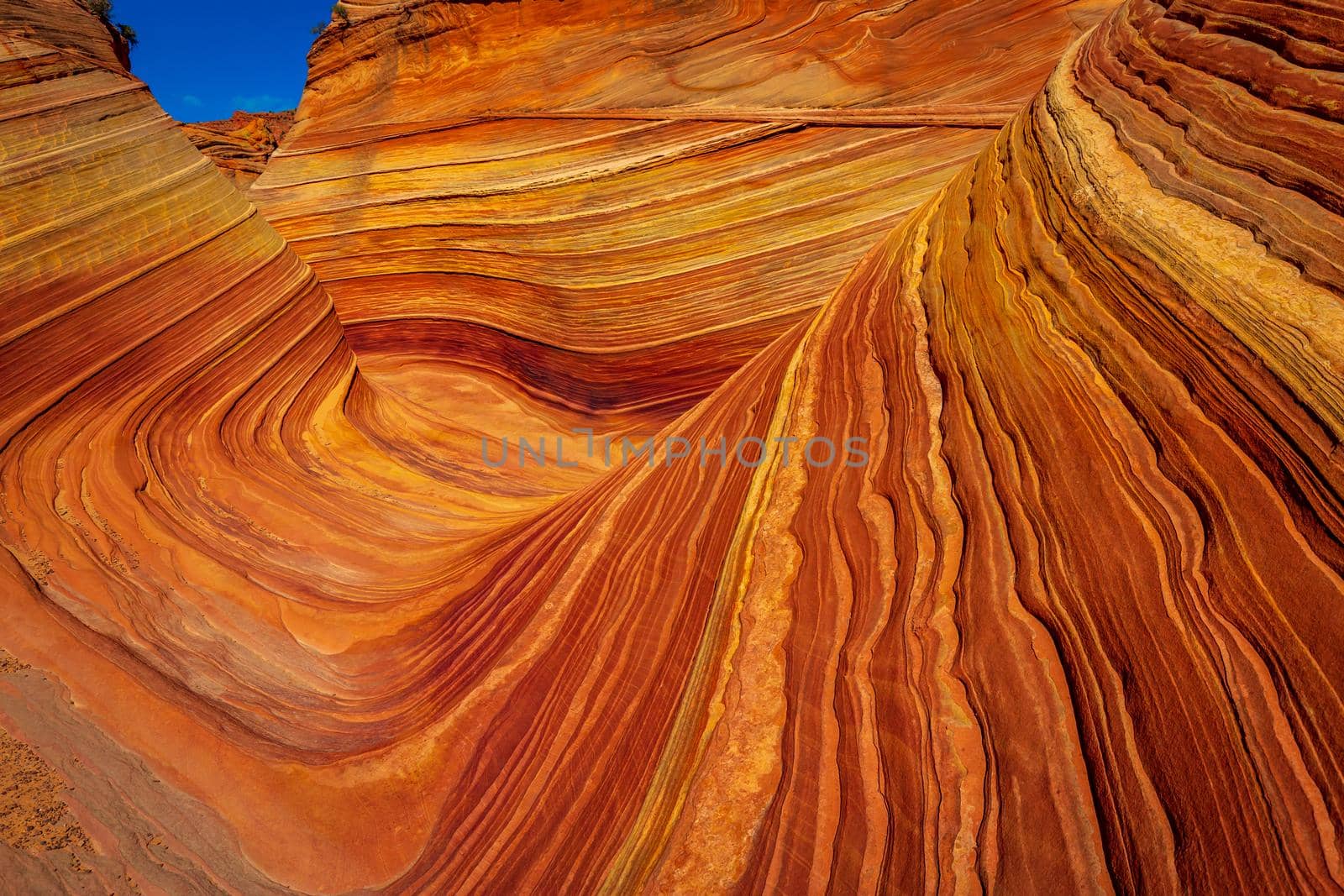 The Wave is a famous sandstone rock formation located in Coyote Buttes, Arizona, known for its colorful, undulating forms