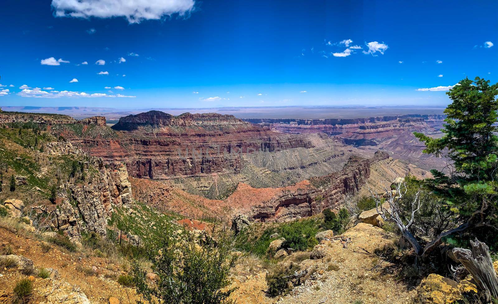 Grand Canyon National Park viewed from North Rim, at Point Imperial