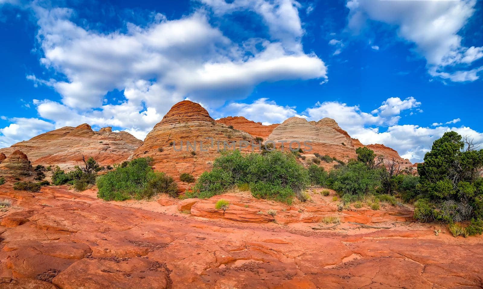 Sandstone rock formations located in Coyote Butte North, Arizona