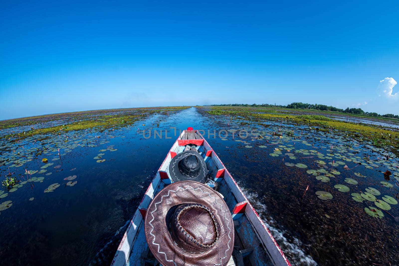 Cruising in the lake, heading straight forward, cruising in the pond with boiling water, afternoon sun, the sky is dark blue.