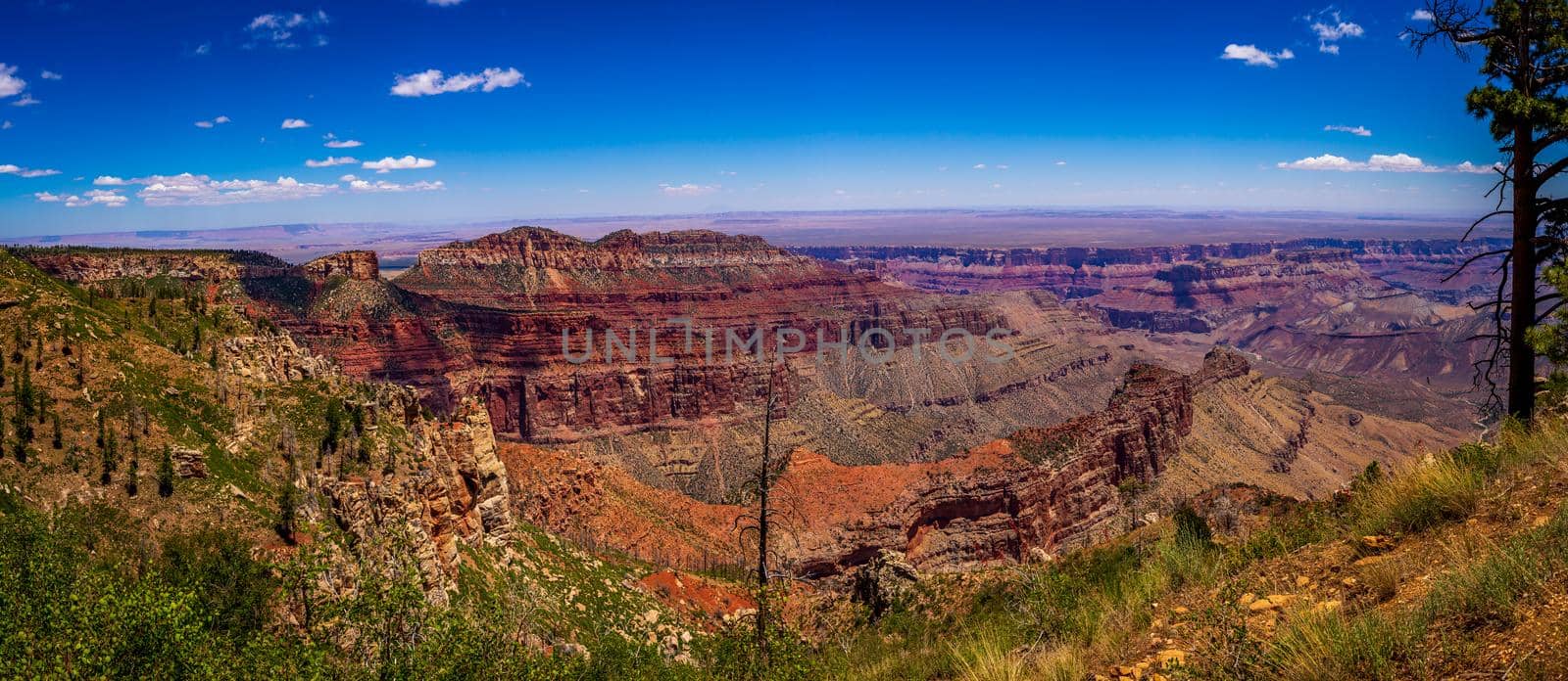 Grand Canyon National Park viewed from North Rim, at Point Imperial