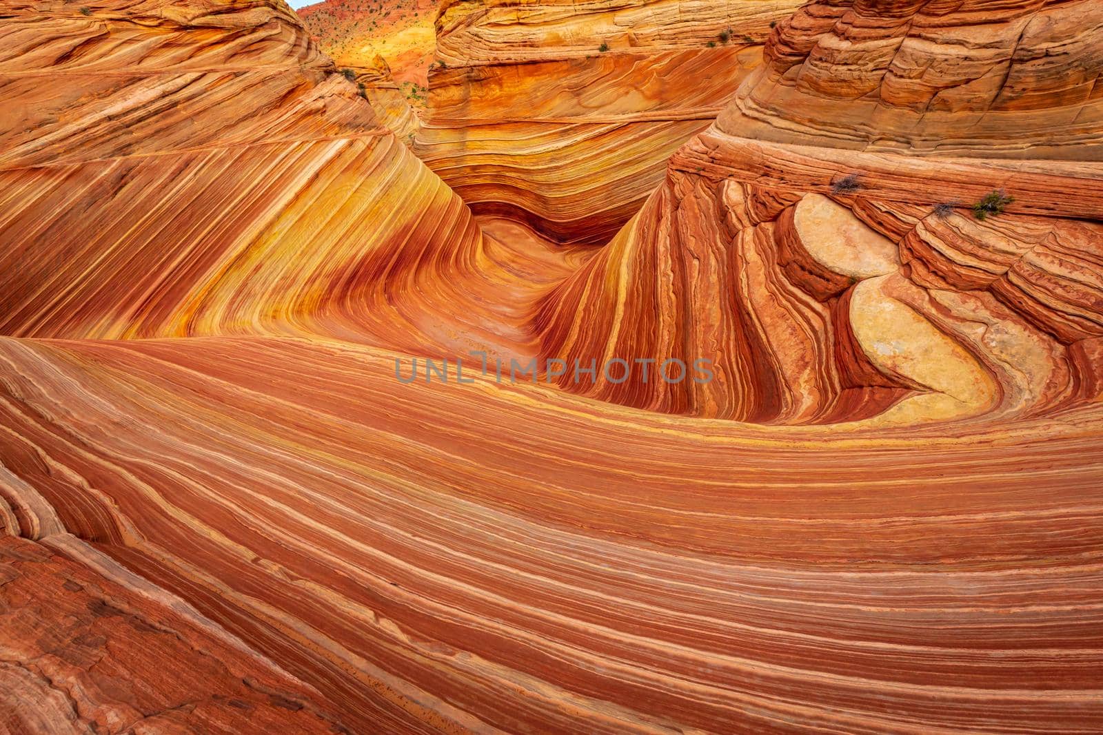 The Wave sandstone formation in Arizona by gepeng