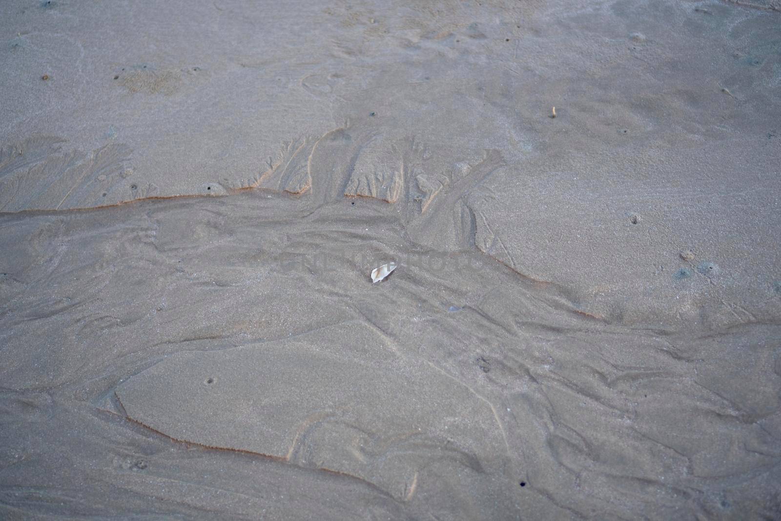 The floating groove of the habitat of Horn-eyed ghost crab or Ocypode on the white sand by the sea	