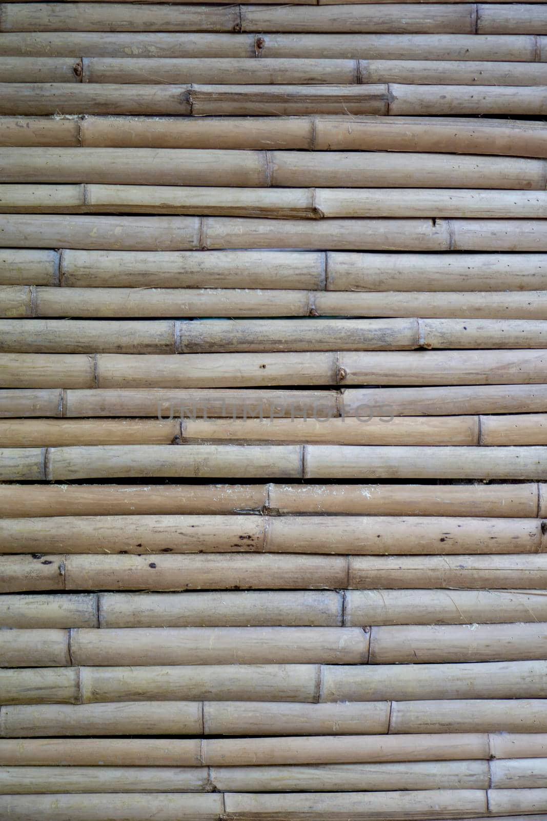 Dry bamboo wall.​ Light brown bamboo in small size, arranged horizontal​. The top surface of the bamboo litter.	
