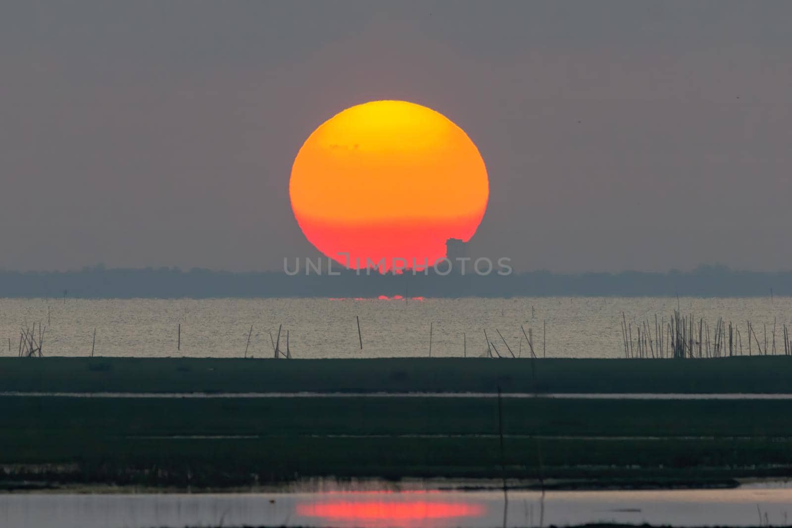 The large sunrise is orange. Sunrise over the sea and mangrove forest