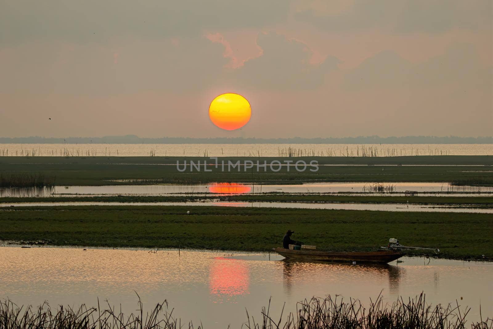 The large sunrise is orange. Sunrise over the sea and mangrove forest