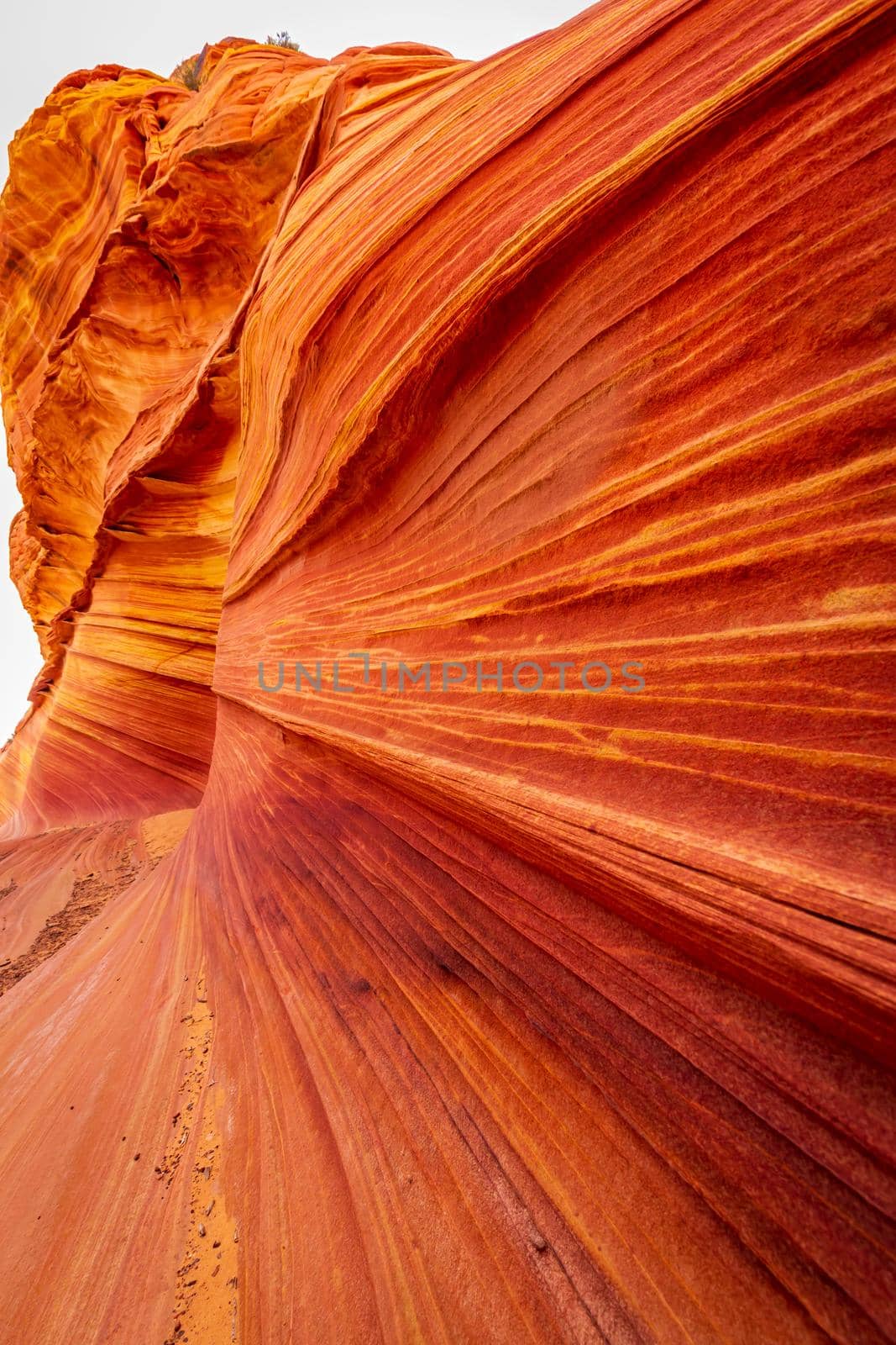 The Wave is a famous sandstone rock formation located in Coyote Buttes, Arizona, known for its colorful, undulating forms