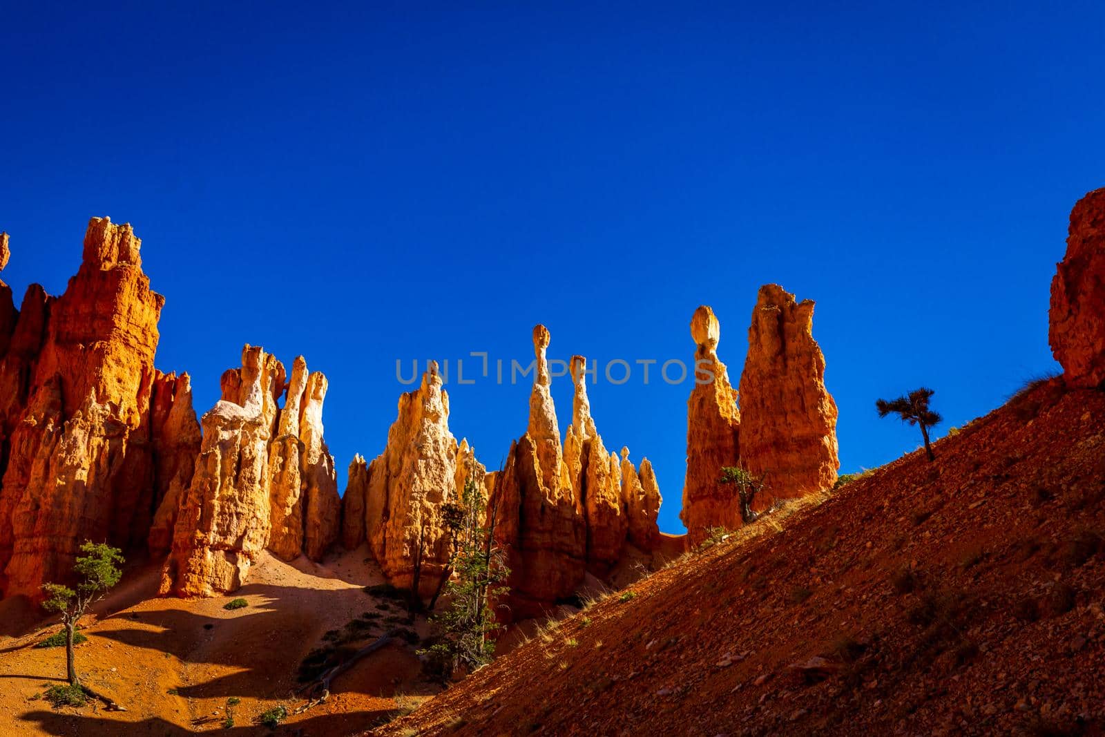 Hoodoos in Bryce Amphitheater, Bryce Canyon National Park, Utah