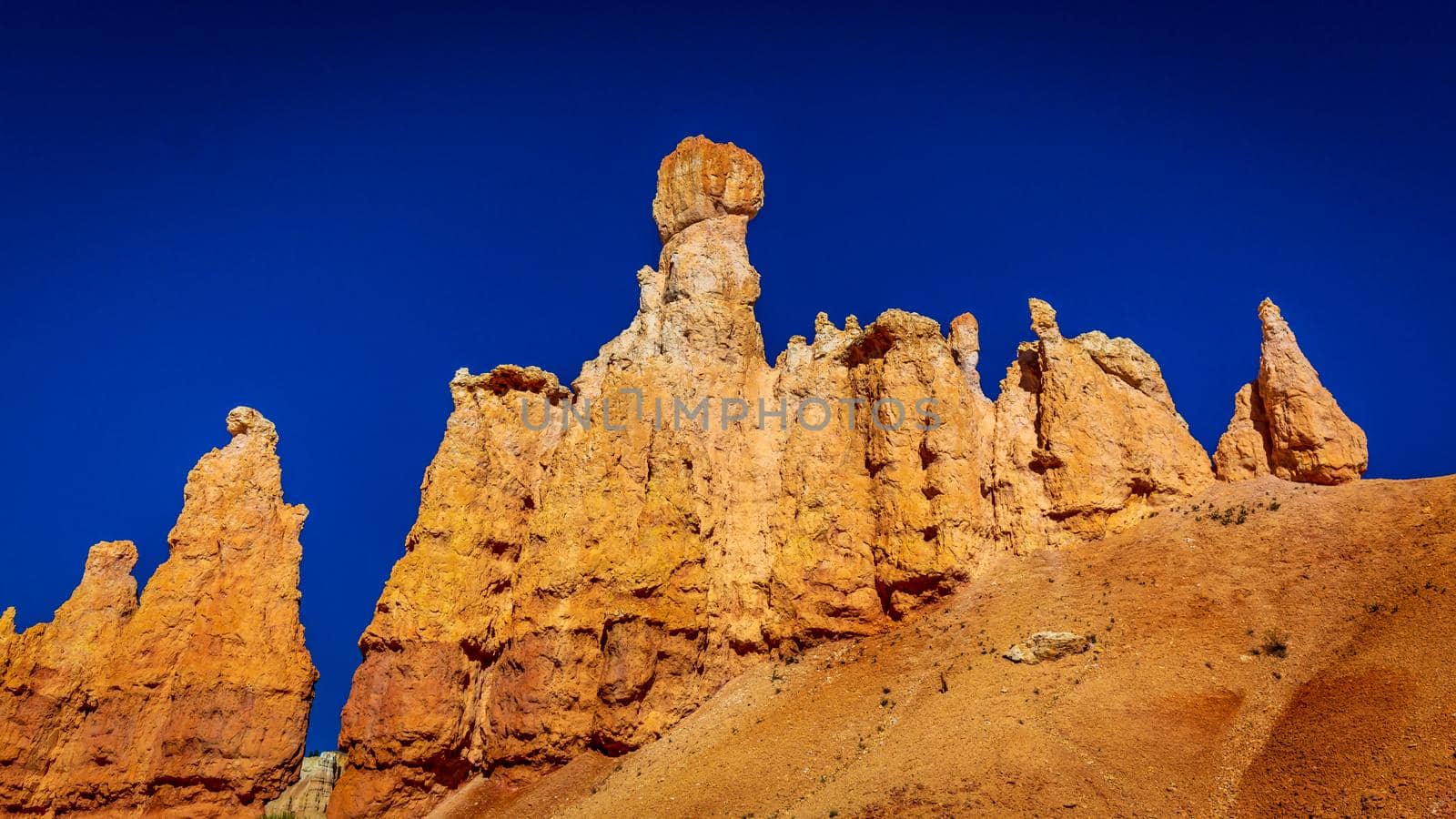 Hoodoos in Bryce Amphitheater, Bryce Canyon National Park, Utah