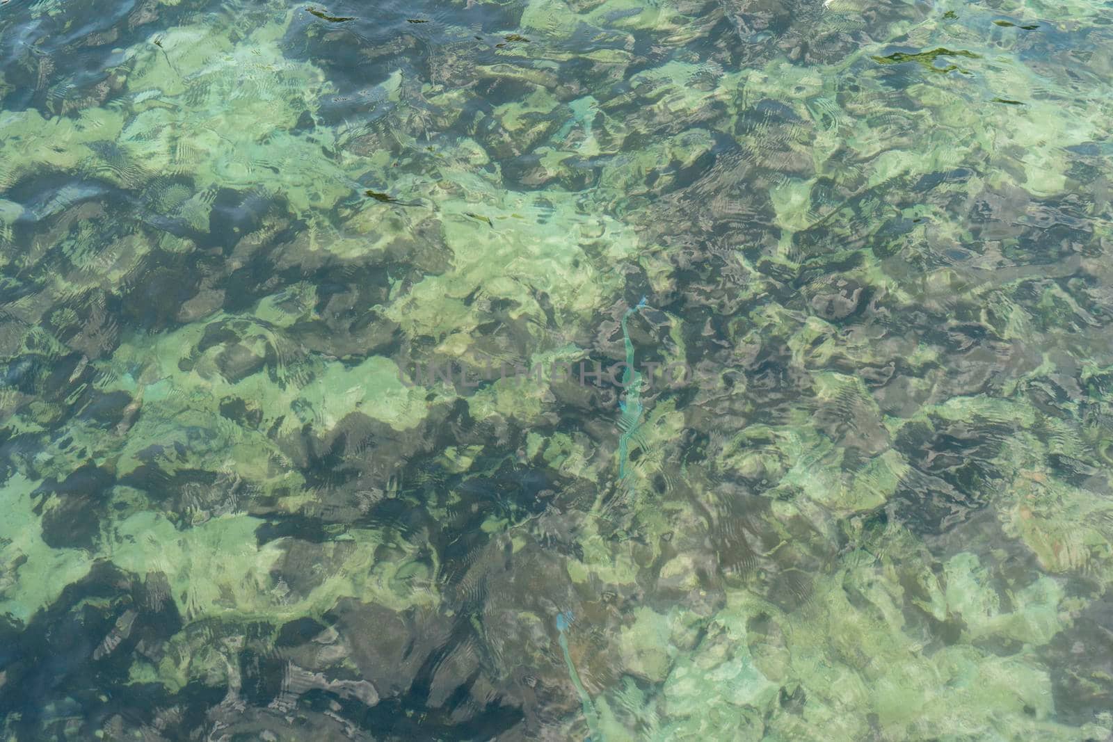 Shallow sea surface, see the limestone floor