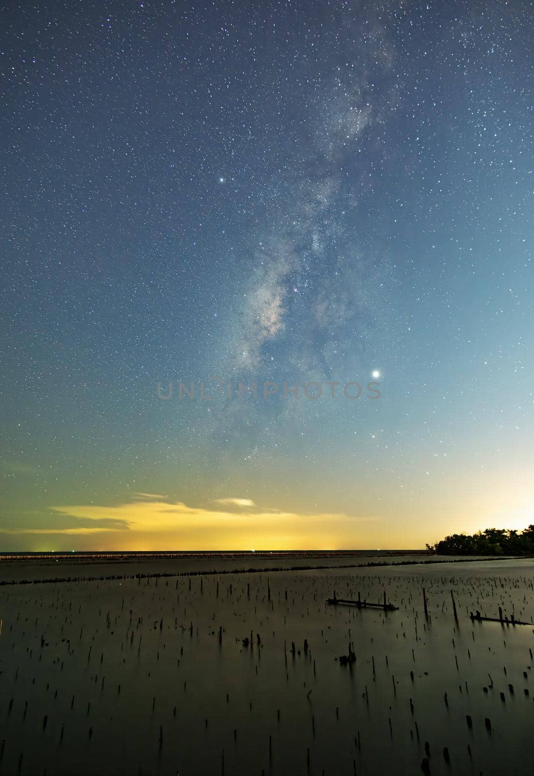 The Milky Way on the night sky with the light reflected from the city lights. The Mangrove forests that only stump. The sea of ​​Samut Sakhon.