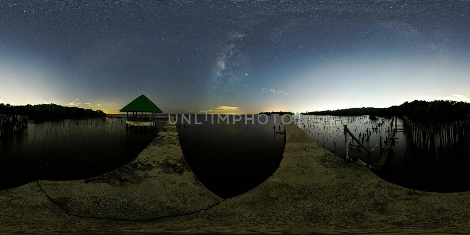 The Milky Way above a single tree and the bamboo landscape prevents the sea from breaking the coast.