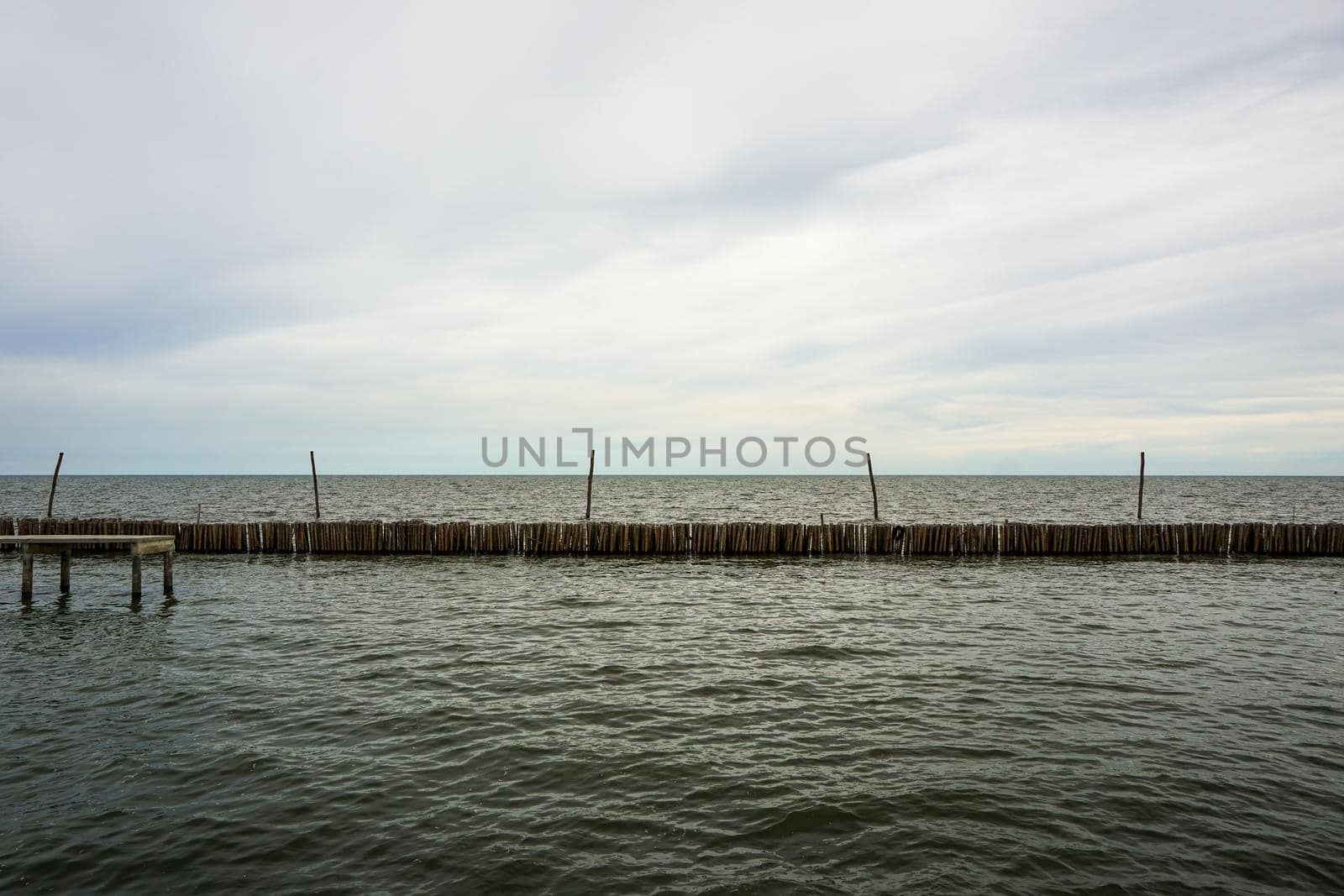 Dried bamboo together into the sea. Prevent coastal erosion from seawater.