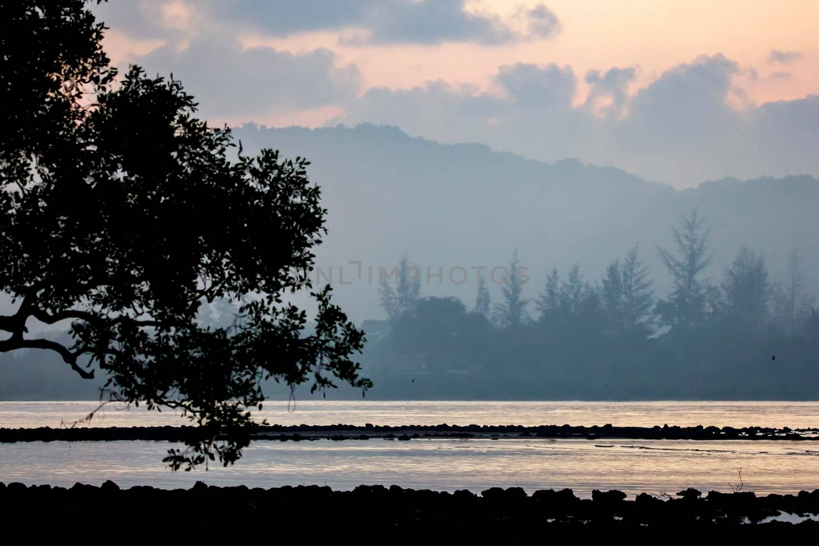 The seaside atmosphere at the early morning. First light before sunrise. mangrove forest.