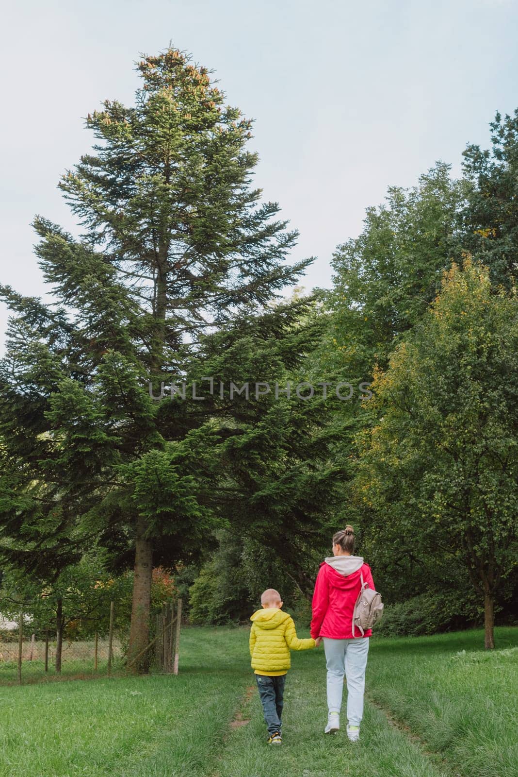Beautiful family -Mom with small son on a walk in autumn sunny nature. Happy couple holding hands. Back view. Young mother with her little baby boy having fun in the autumn park
