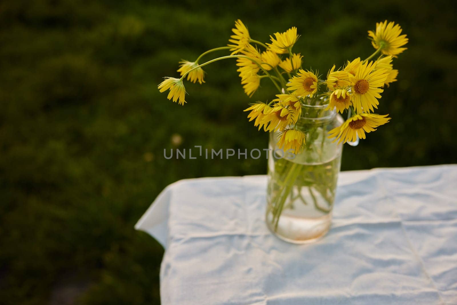 horizontal photo of flowers in a vase by Vichizh