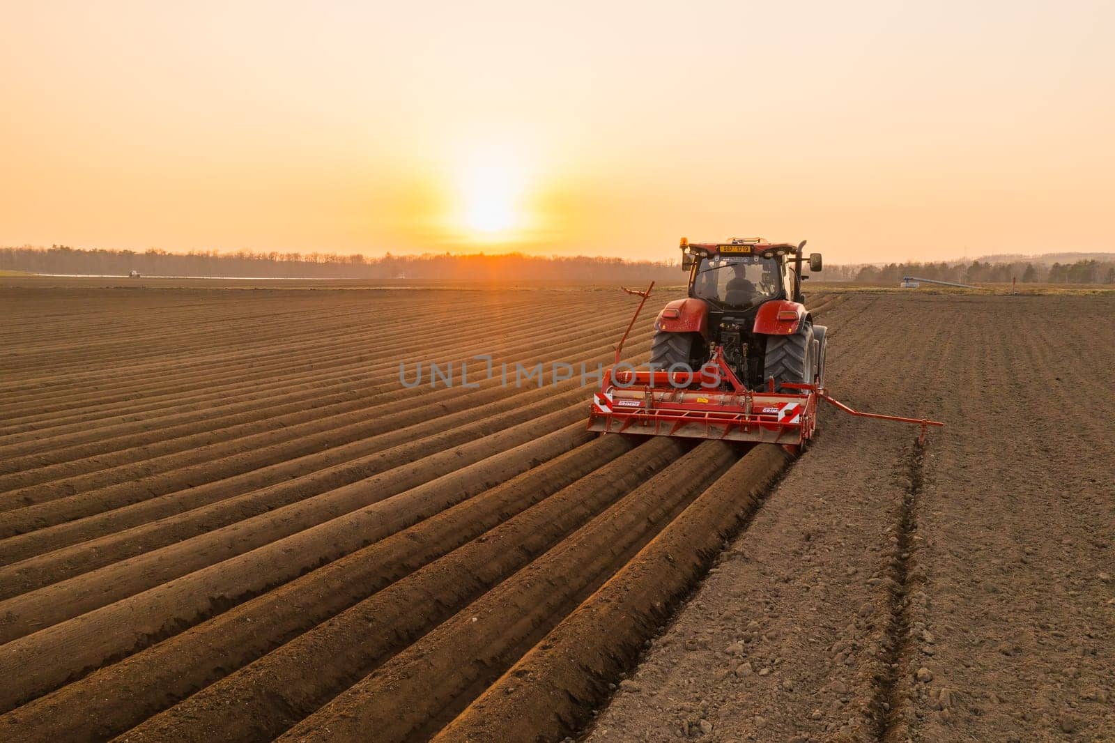 Red tractor working in agricultural field at sunset to avoid a food crisis.