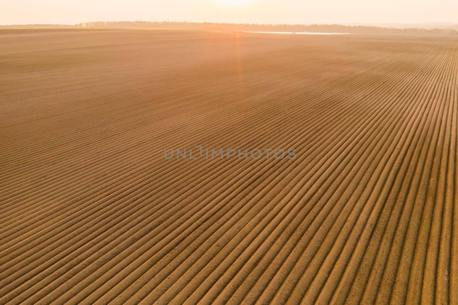 Aerial view of the agricultural field with furrows on soil at sunset