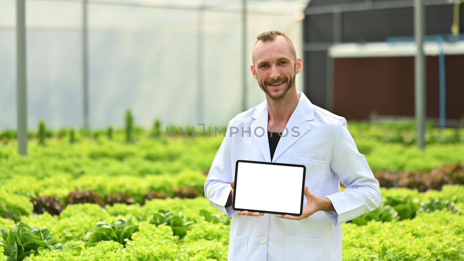 Portrait of caucasian male agricultural researcher showing digital tablet while standing in hydroponic greenhouse.