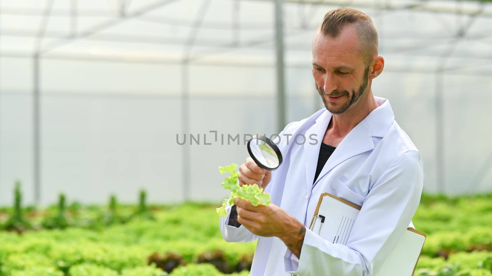 Portrait of Agricultural scientists with magnifying glass examining plants for disease in industrial greenhouse by prathanchorruangsak