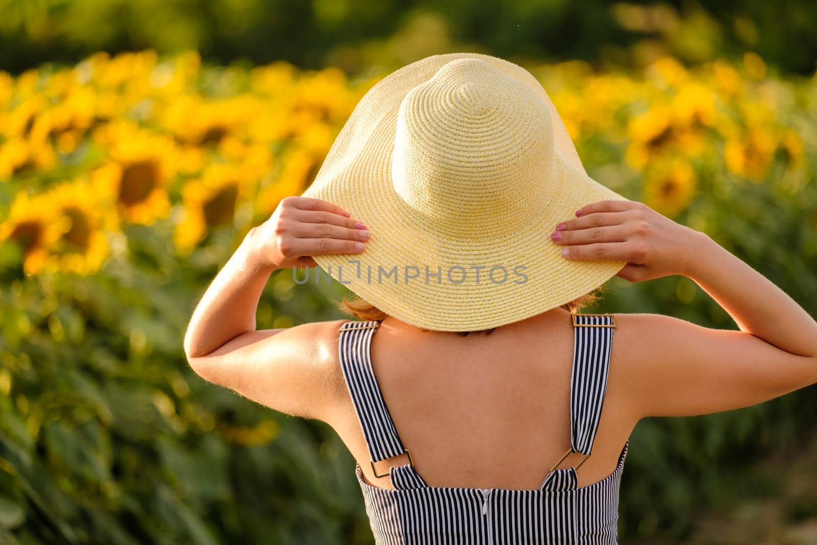 Lady holds straw hat with hands looking at sunflowers in agricultural field. Young woman poses for photo in countryside backside close view