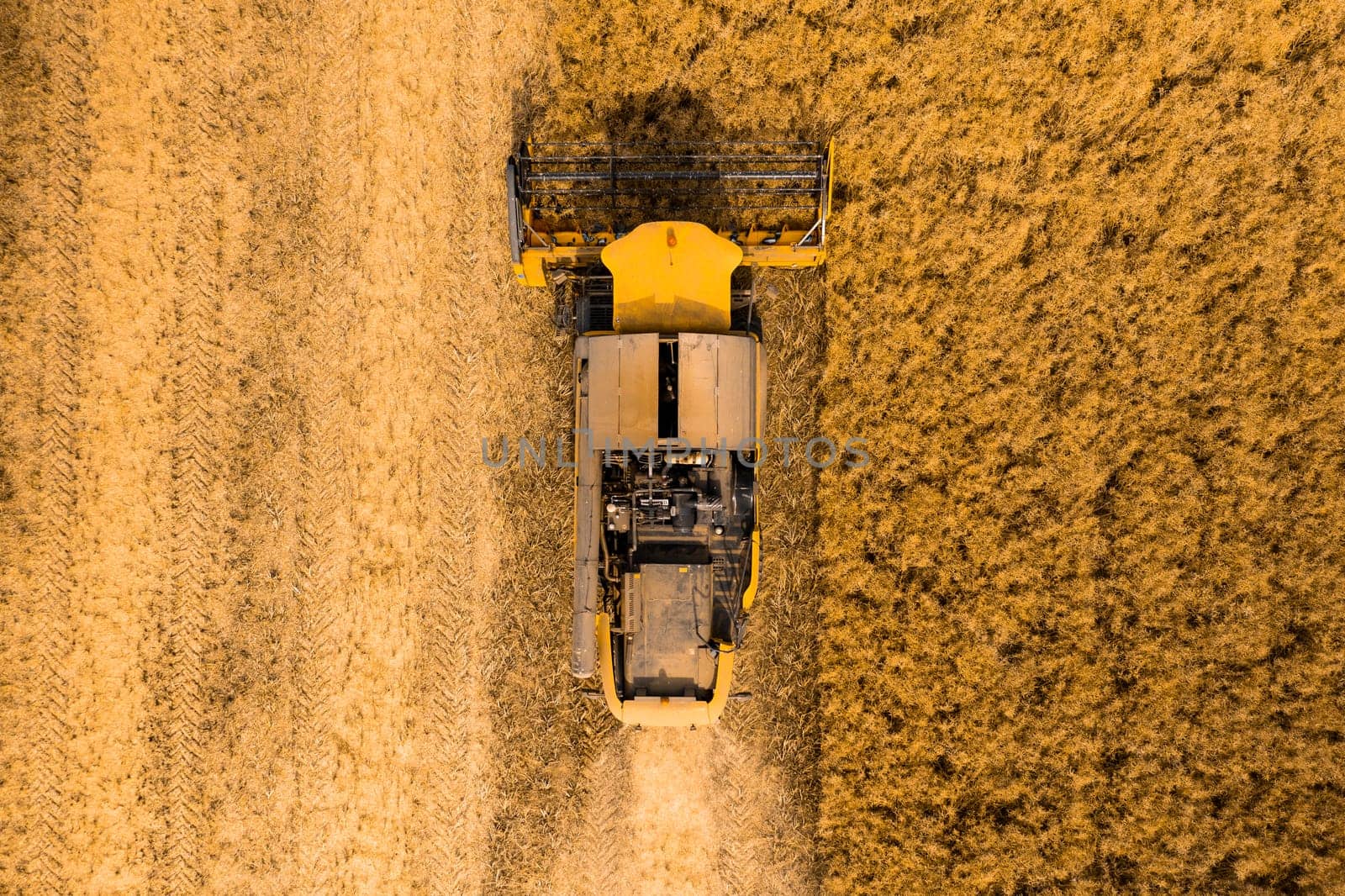 Top view of a combine harvester harvesting wheat from a field.