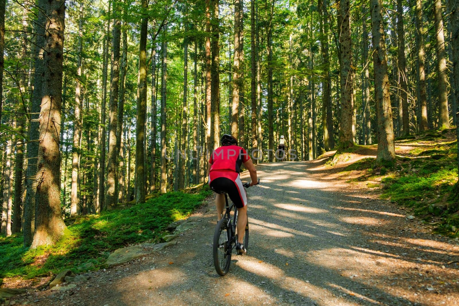 The cyclist rides along a forest road