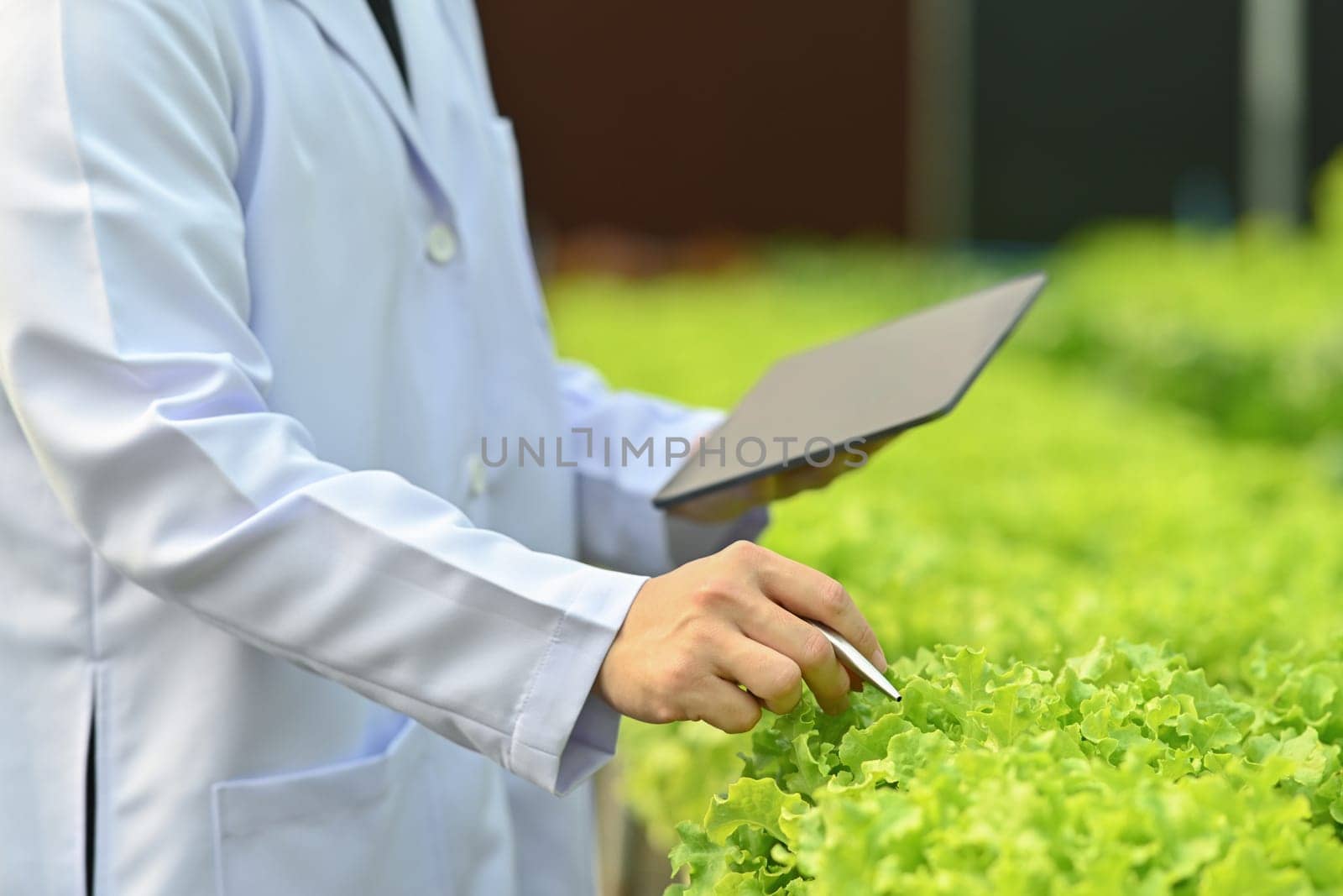 Cropped shot of agricultural scientists observing organic vegetable in greenhouse and analyzing results on digital tablet by prathanchorruangsak