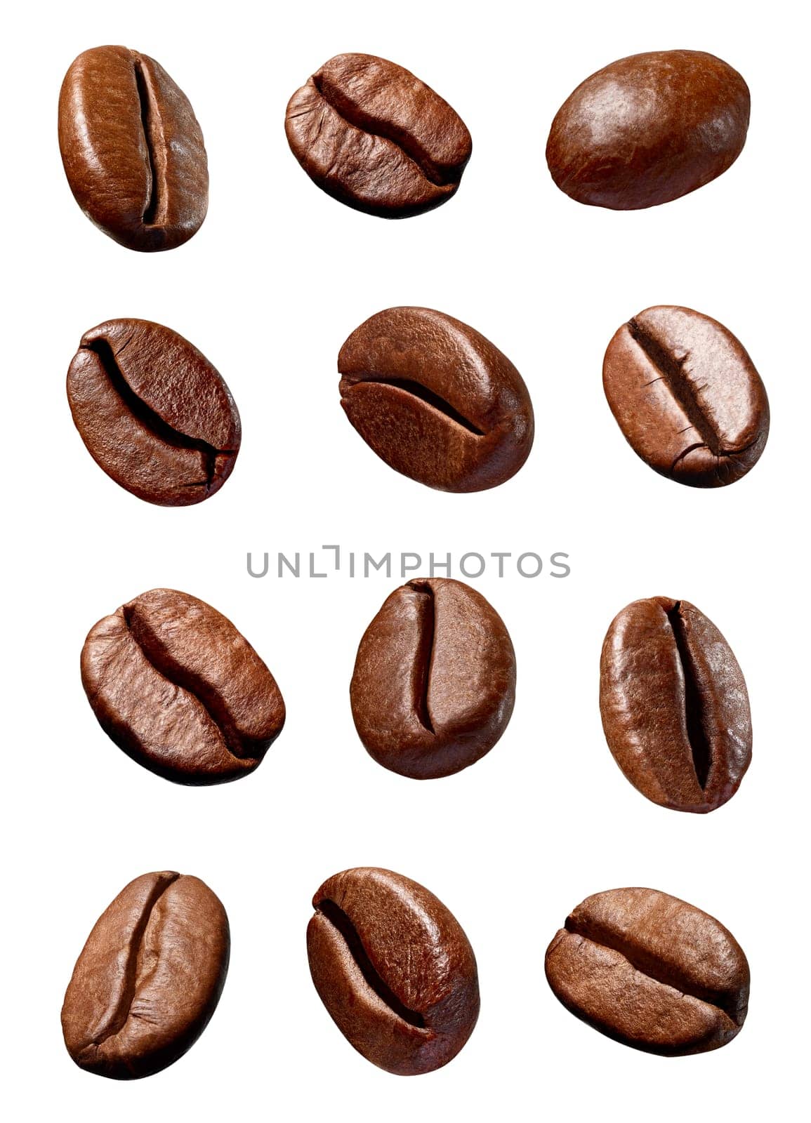 collection of various coffee bean on white background