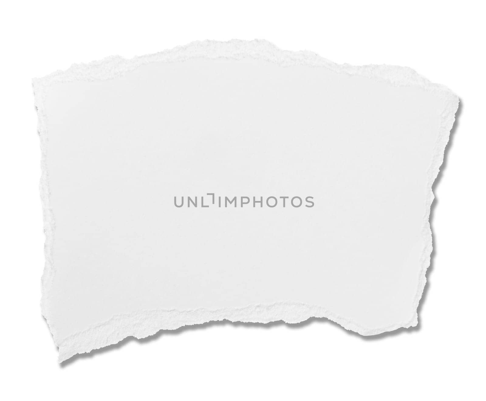 collection of white ripped pieces of paper on white background. each one is shot separately