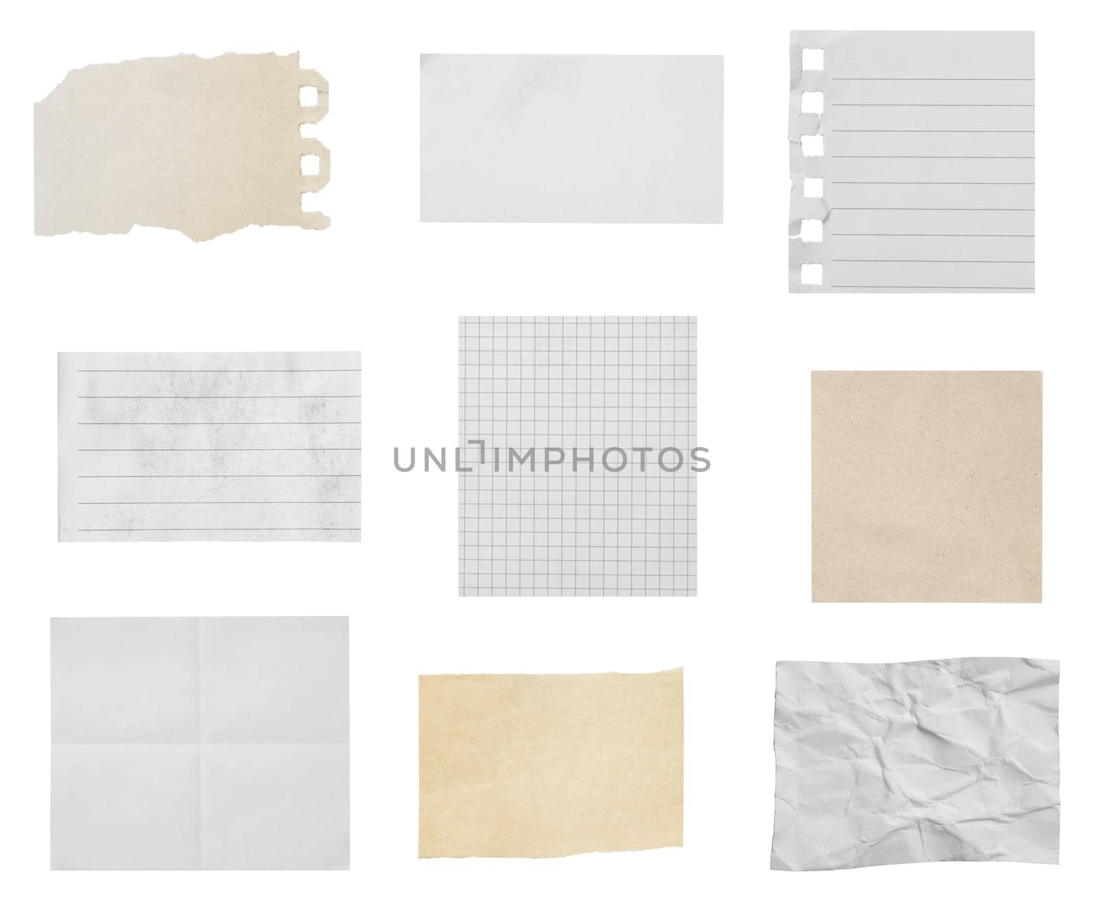 collection of various ripped pieces of paper on white background. each one is shot separately