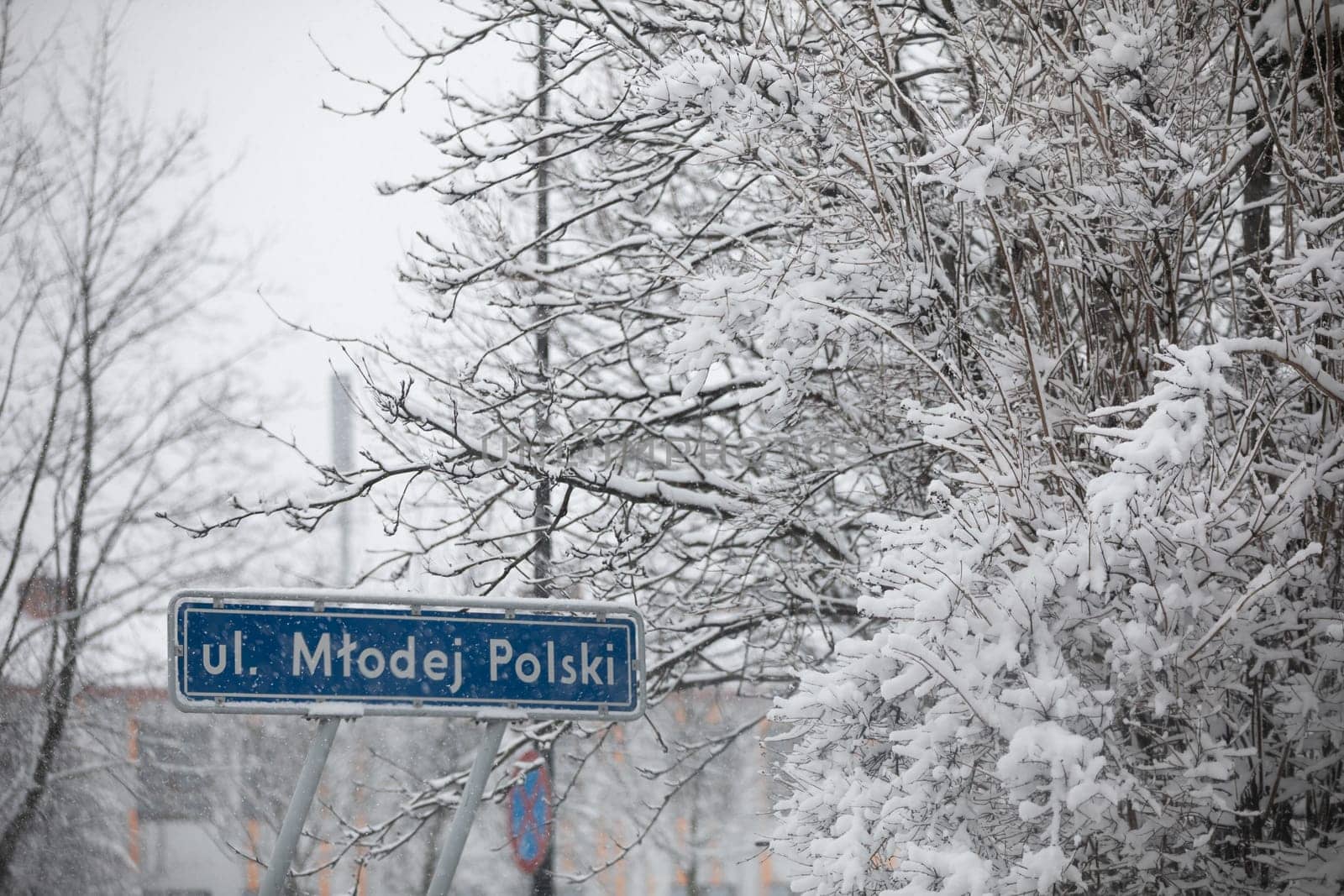 Close-up of the information board containing the street name. Blue information board against a background of snow-covered trees. Winter season. Snow lying on the branches of leafless trees