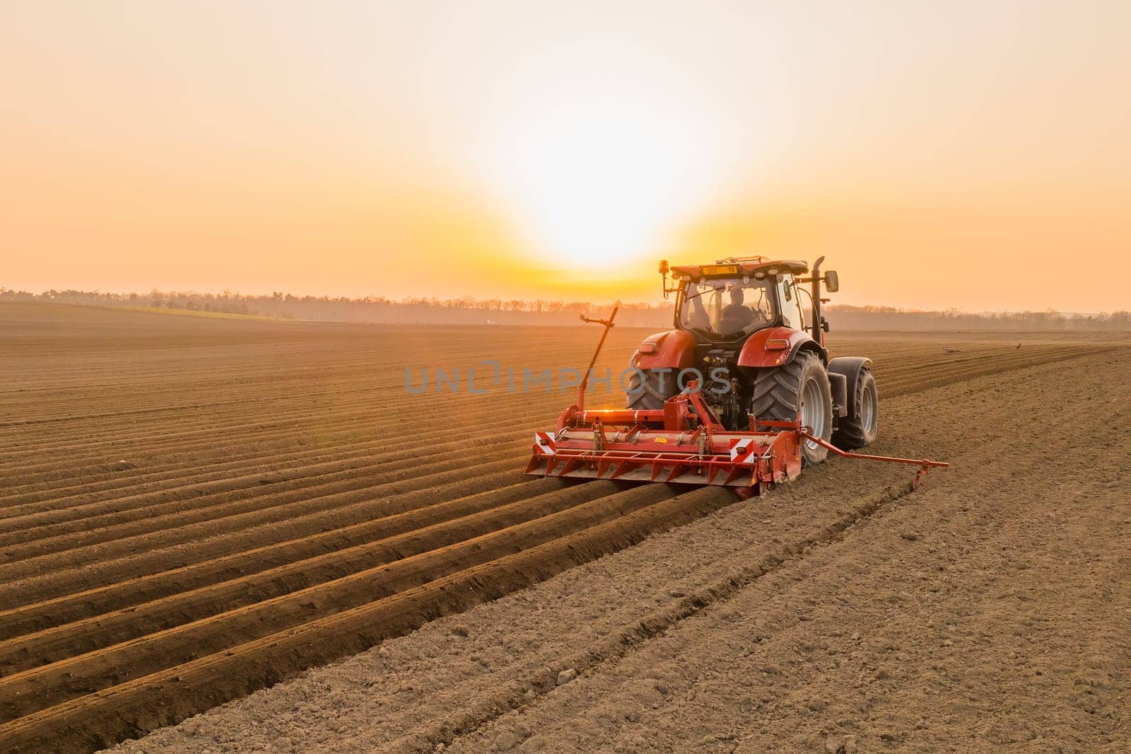 Tractor drives across large field making special beds for sowing seeds into purified soil. Agricultural vehicle works at sunset in countryside
