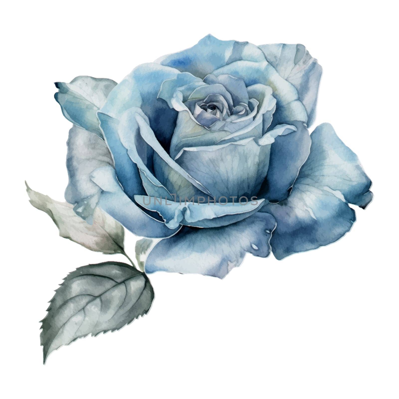 Blue Pastel Rose Flower Watercolor Illustration by Skyecreativestudio