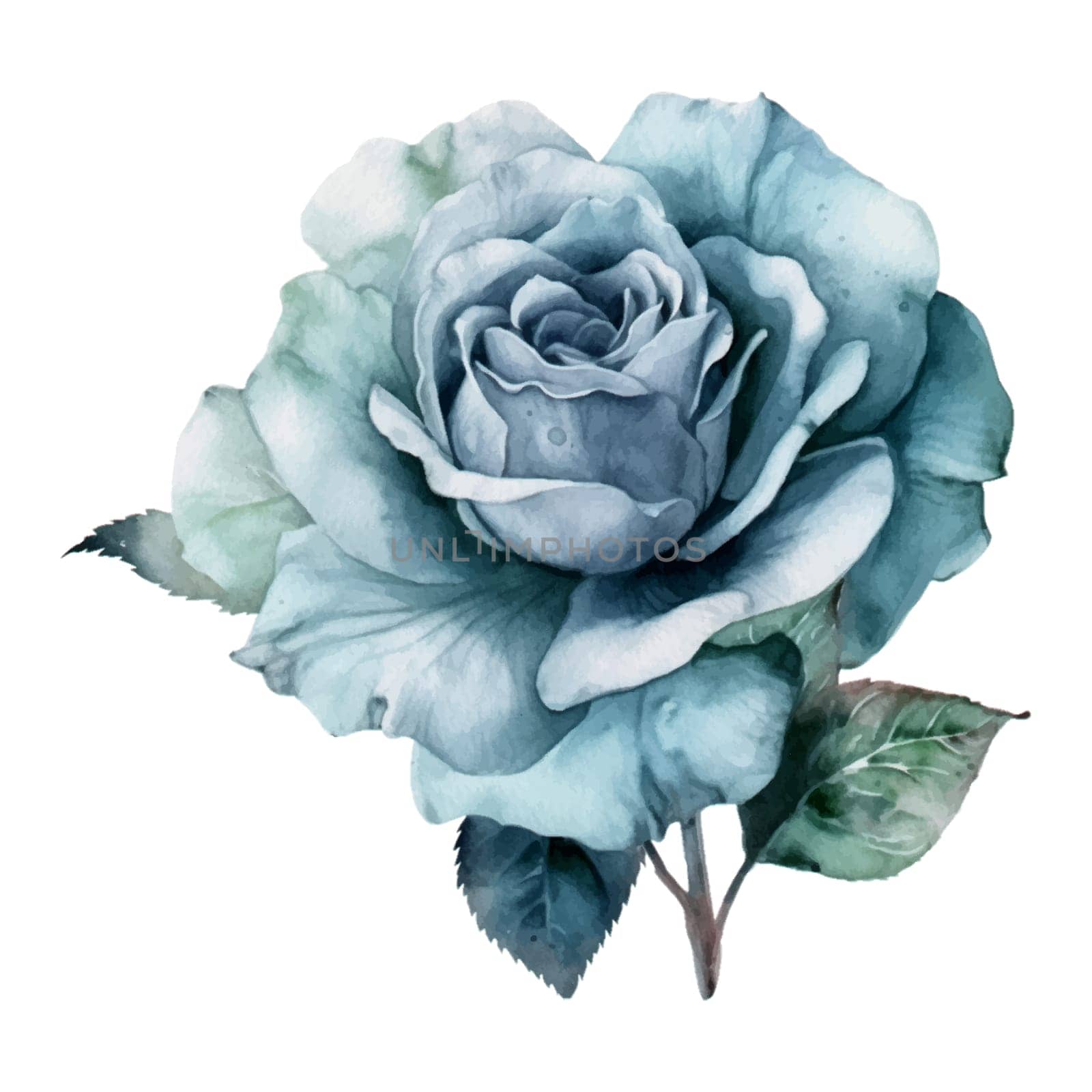 Blue Pastel Rose Flower Watercolor Illustration by Skyecreativestudio