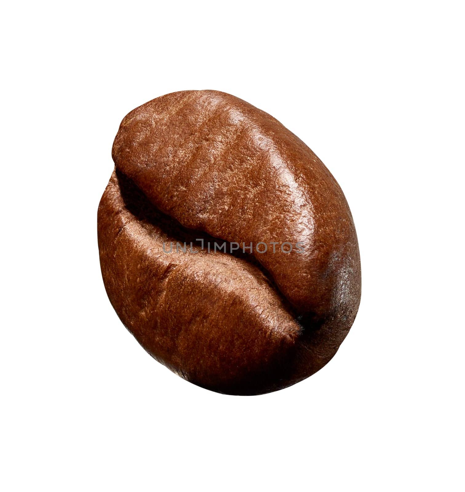 close up of a coffee bean on white background