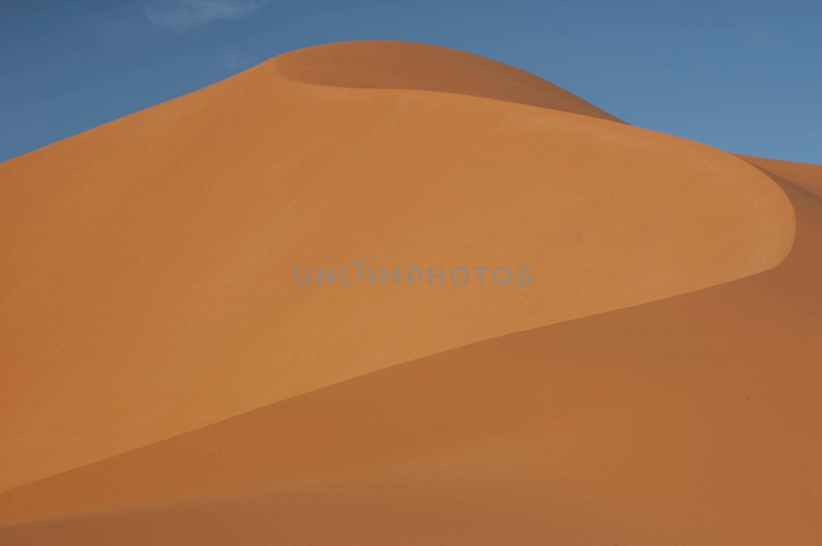 The orange dunes of the libyan Sahara desert