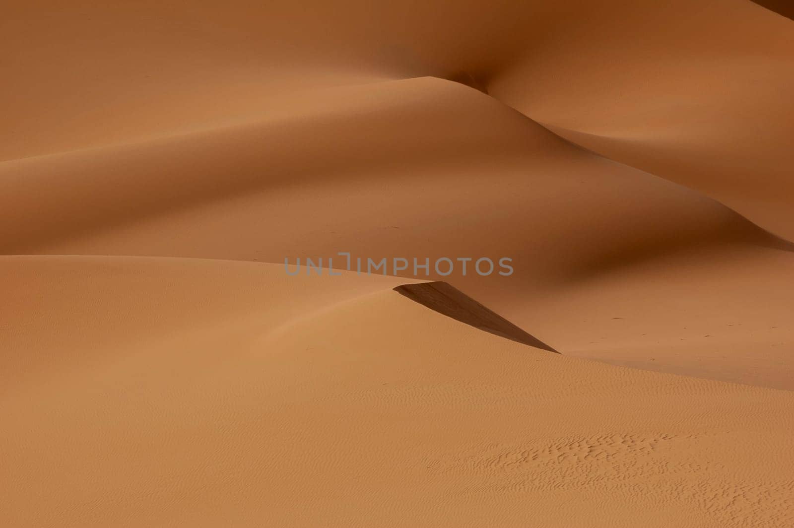 The orange dunes of the libyan Sahara desert