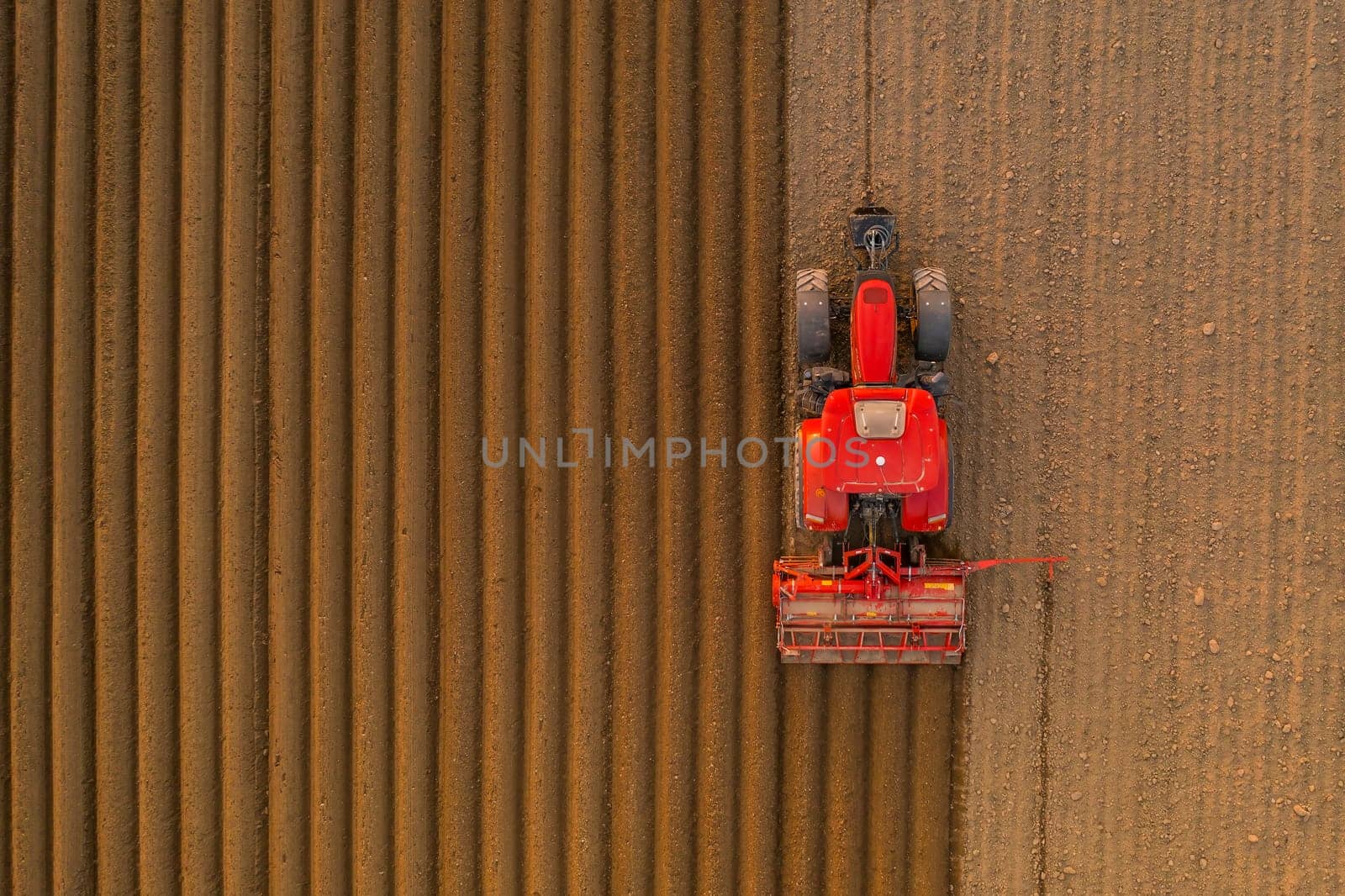 Tractor pulls subsoiler to prepare beds for sowing grain in cultivated field at sunset. Agricultural machinery operates in countryside