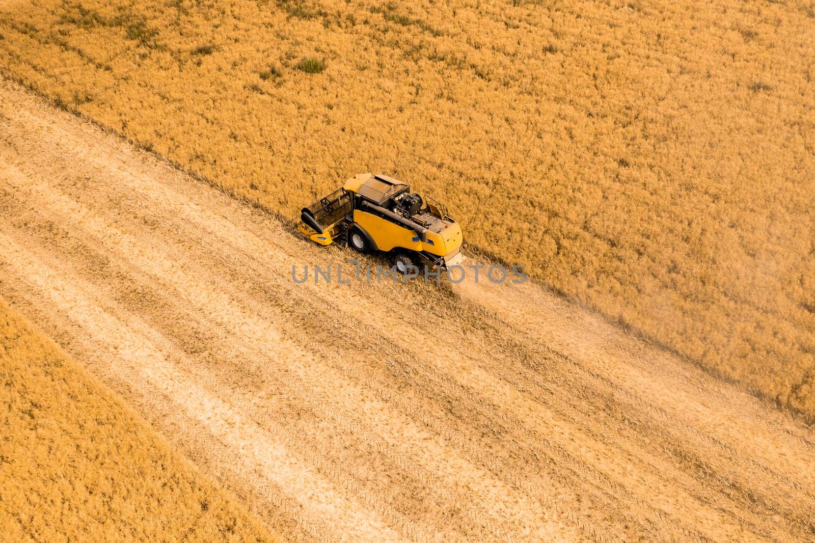 Top view of a combine harvester harvesting wheat from a field by vladimka