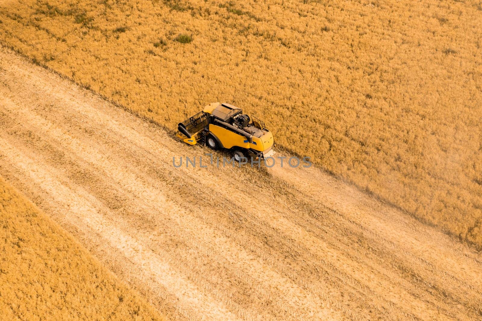 Top view of a combine harvester harvesting wheat from a field.