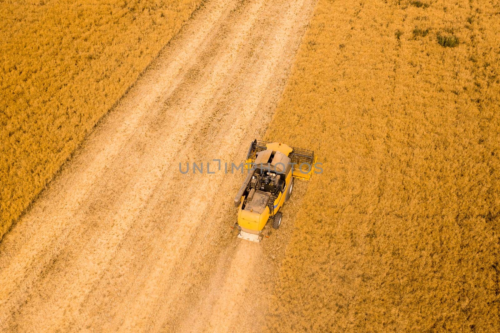 Top view of a combine harvester harvesting wheat from a field.